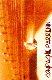 photo/LOGO-PARRENIN.jpg